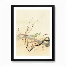 Songbird And Plum Blossom (1900 1936), Ohara Koson Art Print