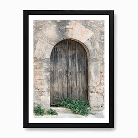 Old Wooden Door 2 Art Print