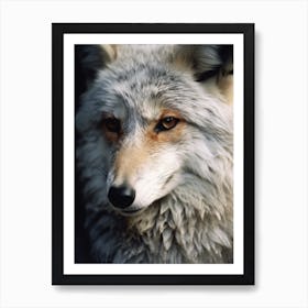 Gray Fox Close Up Realism 2 Art Print