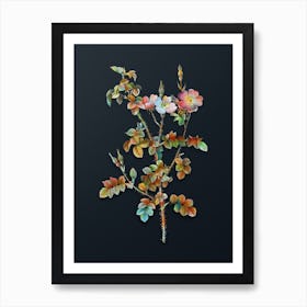 Vintage Prickly Sweetbriar Rose Botanical Watercolor Illustration on Dark Teal Blue n.0439 Art Print