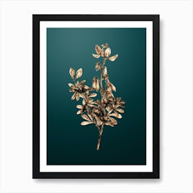 Gold Botanical Restharrows on Dark Teal n.1333 Art Print