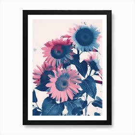 Blue And Pink Sunflowers Art Print