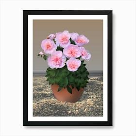 Pink Peony Flowers In The Old Pot On Gravel Art Print