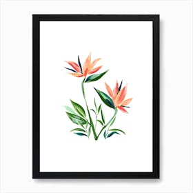 Bird Of Paradise Art Print