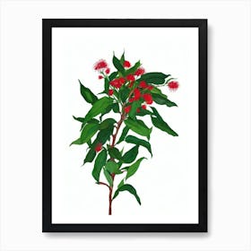 Bottle Brush Plant (Callistemon Citrinus) Watercolor Art Print