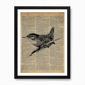 Wren Bird Art Print