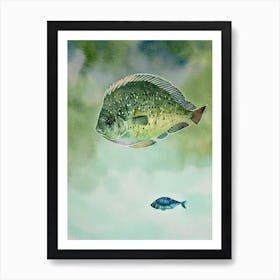 Giant Ocean Sunfish II Storybook Watercolour Art Print