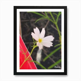 White Flower 2 Art Print