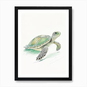 Flatback Sea Turtle (Natator Depressus), Sea Turtle Pencil Illustration 2 Art Print