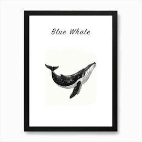 B&W Blue Whale Poster Art Print