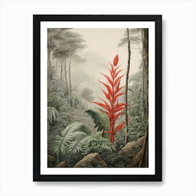 Vintage Jungle Botanical Illustration Heliconia 3 Art Print