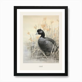 Vintage Bird Drawing Coot 2 Poster Art Print