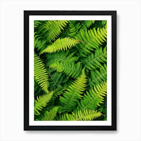 Pattern Poster Lady Fern 4 Art Print