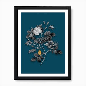 Vintage Malmedy Rose Black and White Gold Leaf Floral Art on Teal Blue n.0829 Art Print