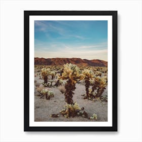 Cholla Cactus Garden II Art Print