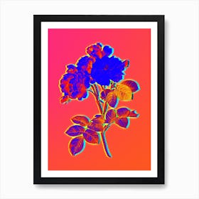 Neon Pink Damask Rose Botanical in Hot Pink and Electric Blue Art Print