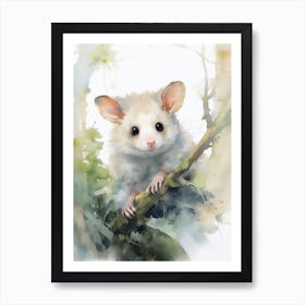 Light Watercolor Painting Of A Hidden Possum 1 Art Print