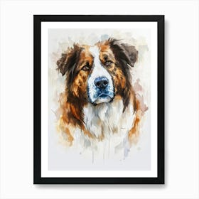Australian Shepherd Dog Watercolor Painting 6 Art Print