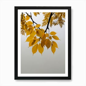 Autumn Leaves 2 Art Print