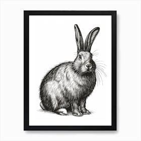 Flemish Giant Blockprint Rabbit Illustration 4 Art Print