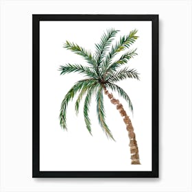 Palm Tree 1 Art Print