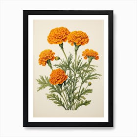 Marigolds Flower Vintage Botanical 2 Art Print