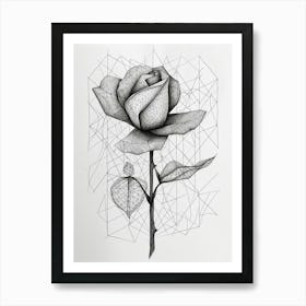 English Rose Geometric Line Drawing 2 Art Print