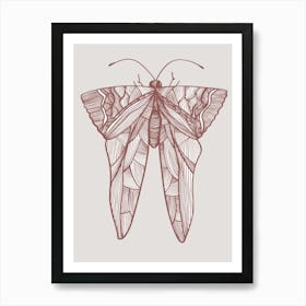 Moth Drawing Art Print