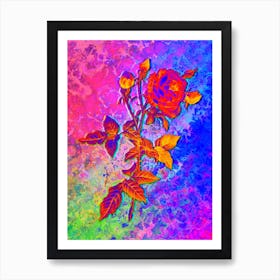 Provence Rose Botanical in Acid Neon Pink Green and Blue n.0152 Art Print