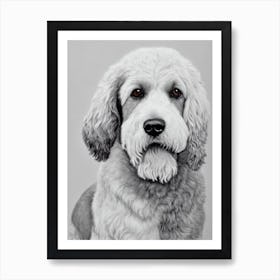 Irish Water Spaniel B&W Pencil Dog Art Print