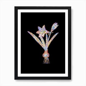 Stained Glass Hippeastrum Mosaic Botanical Illustration on Black n.0133 Art Print