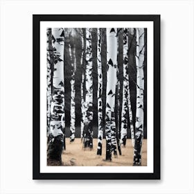 Birch Trees 58 Art Print