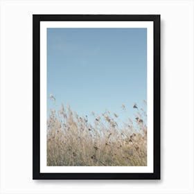 Wind 43 Art Print