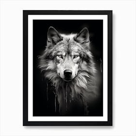 Tundra Wolf Portrait Black And White 3 Art Print