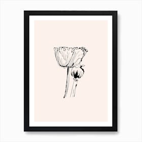 Vintage Poppies Art Print