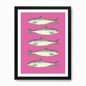 Sardines - Pink Art Print