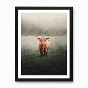 Foggy Highland Cow Art Print
