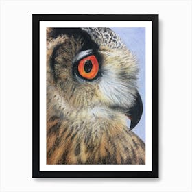 Owl Portrait in Pencil Crayon Art Print