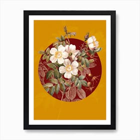 Vintage Botanical White Candolle Rose Rosier de Candolle on Circle Red on Yellow n.0030 Art Print