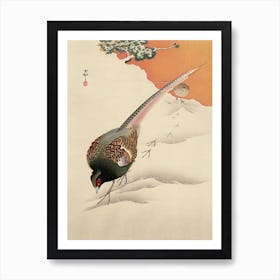 Pheasant, Ohara Koson Art Print