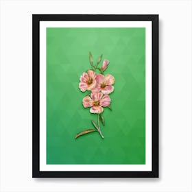 Vintage Pink Ruddy Godetia Botanical Art on Classic Green n.1827 Art Print