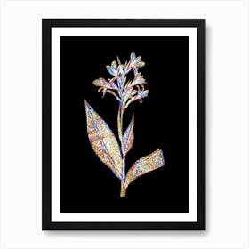 Stained Glass Water Canna Mosaic Botanical Illustration on Black n.0167 Art Print