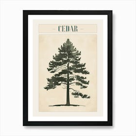 Cedar Tree Minimal Japandi Illustration 4 Poster Art Print