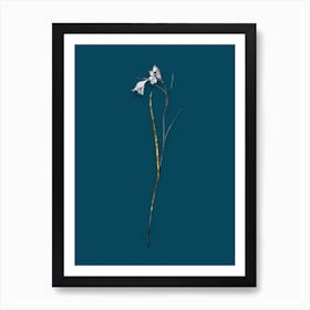 Vintage Blue Pipe Black and White Gold Leaf Floral Art on Teal Blue n.1043 Art Print