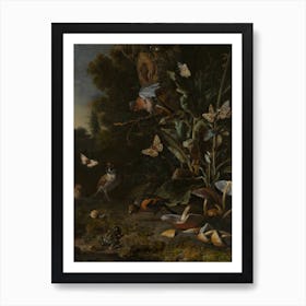 Birds, Butterflies And A Frog Among Plants And Fungi, Melchior D'Hondecoeter Art Print