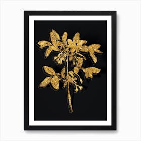 Vintage Honeyberry Flower Botanical in Gold on Black n.0575 Art Print