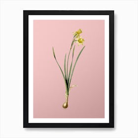Vintage Narcissus Calathinus Botanical on Soft Pink n.0476 Art Print