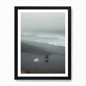 Minimalist, Photography, Seashore, Bird, Chirping, White Flower, Fog, Dark Poster