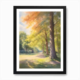 Summer Sunshine And Shade Of Trees Art Print