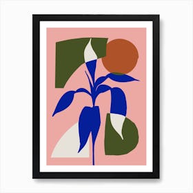 Aspidistra Elatior Art Print